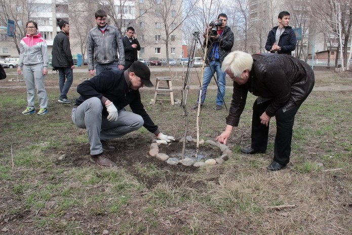 Вы шумите, шумите