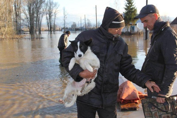 ЧС местного масштаба (+фото)
