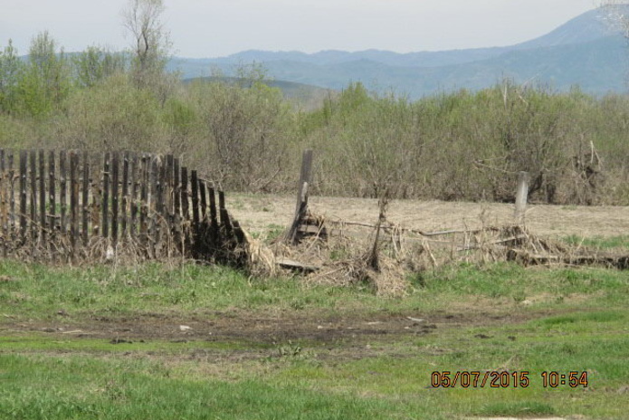 Добрые люди