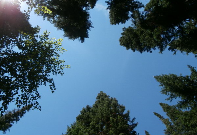 Лето! Лагерь! МИЦ! - PR