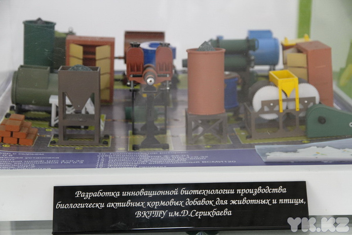 Экспо по-нашему