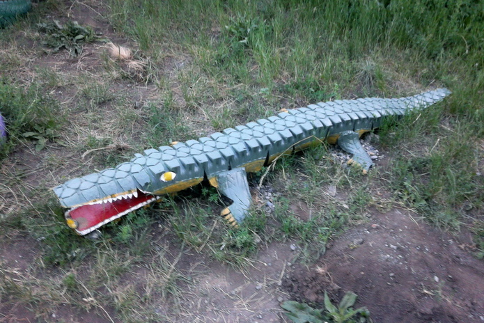 Верните крокодила