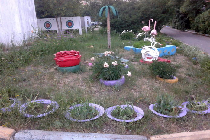 Верните крокодила