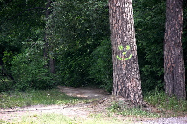 Квартира в Новосибирске -  студентам и родителям - PR