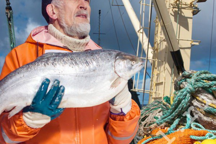 Сезон охоты на скидки! - PR