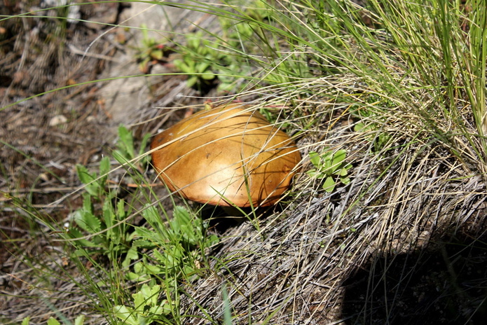 Бухтарма  открывает сезон со скидками до 50% - PR