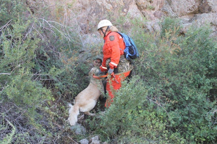 Выступили достойно (+фото)