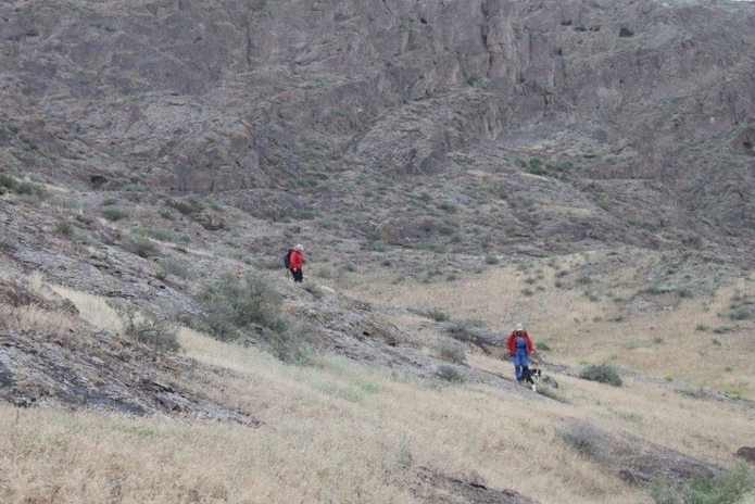 Выступили достойно (+фото)