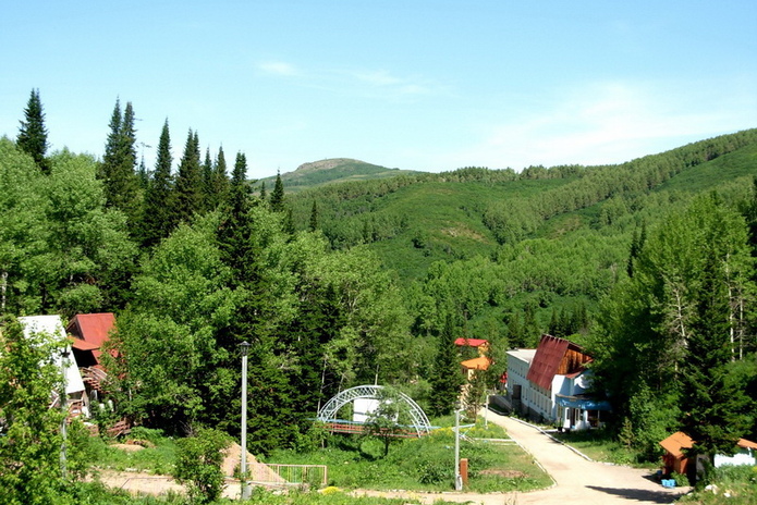 Пантолечение: время быть здоровым! - PR