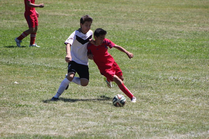 Памяти Владимира Емца