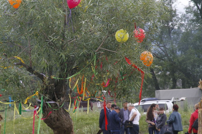 Чаще болеют насморком