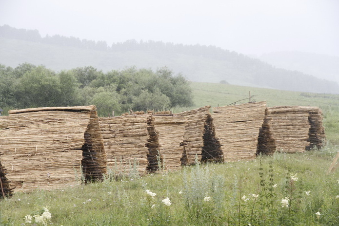 Чаще болеют насморком