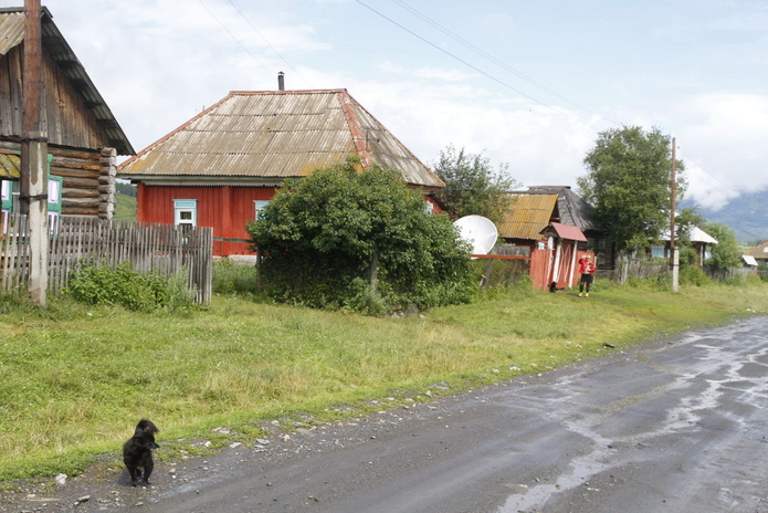 Чаще болеют насморком