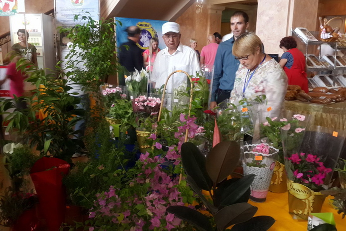 Кому нужны свои