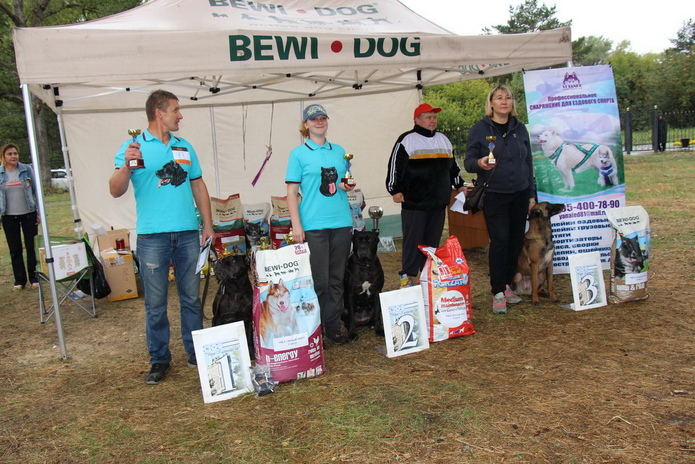 Лучшие из лучших