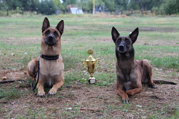 Лучшие из лучших