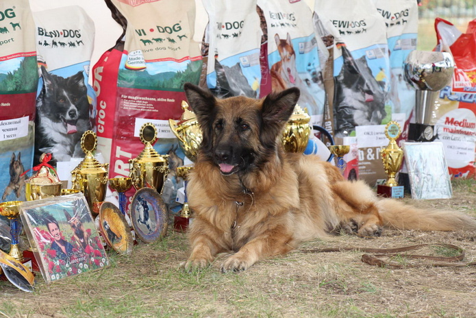 Лучшие из лучших