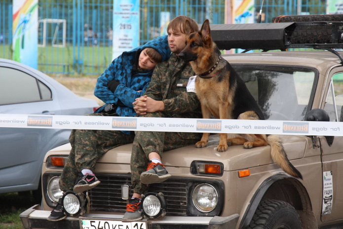 Лучшие из лучших