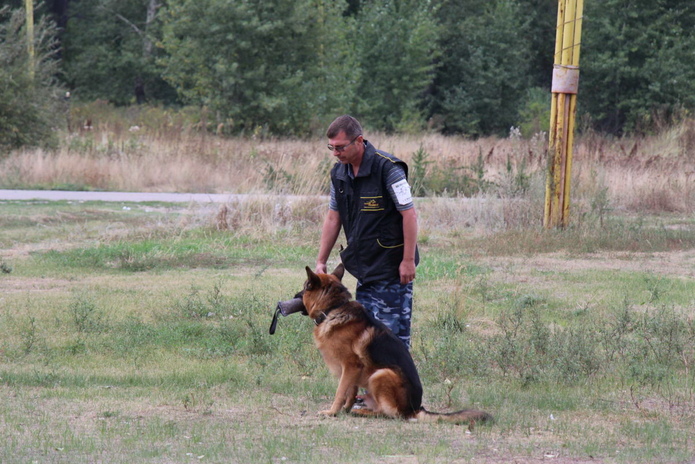 Лучшие из лучших