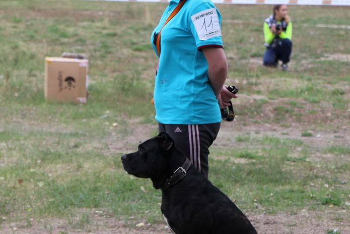 Лучшие из лучших