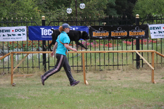 Лучшие из лучших