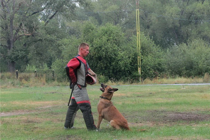 Лучшие из лучших