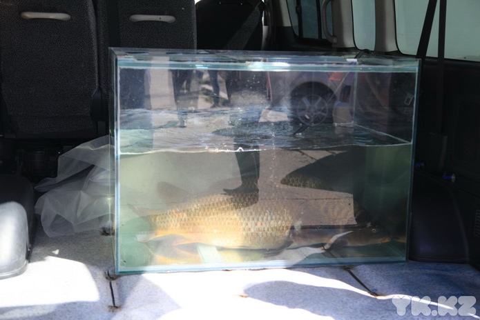 Уникальные места (+фото)