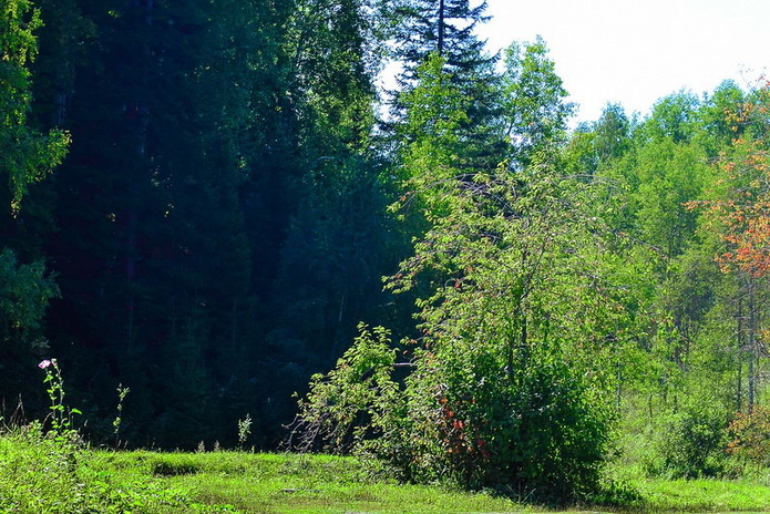 Отдых от цивилизации - PR