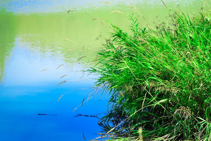 Отдых от цивилизации - PR