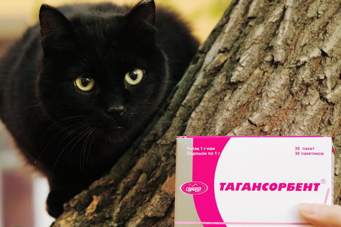 Больше, чем фото - PR