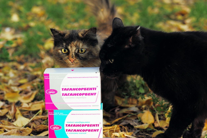 Больше, чем фото - PR