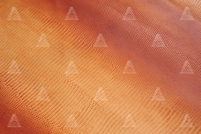 Это надо пощупать! - PR