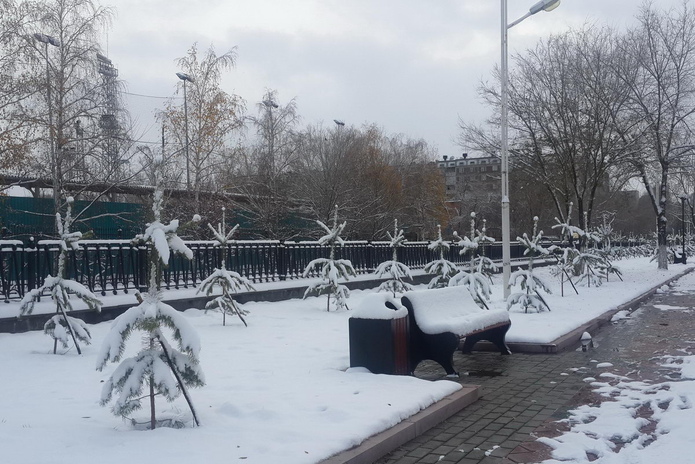 Зелёный десант