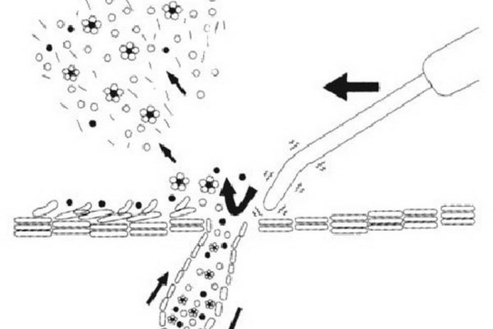 Если вы не любите рано вставать – PR