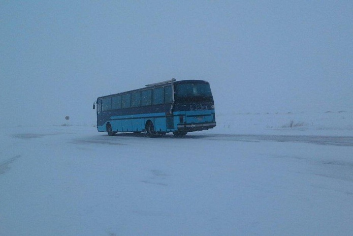 Проложили путь автобусам