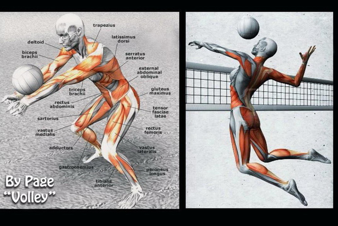Волейбол для тебя - PR