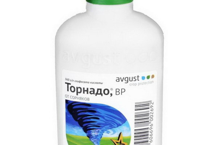 Битие мое