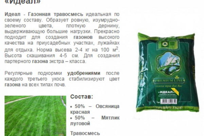 Битие мое