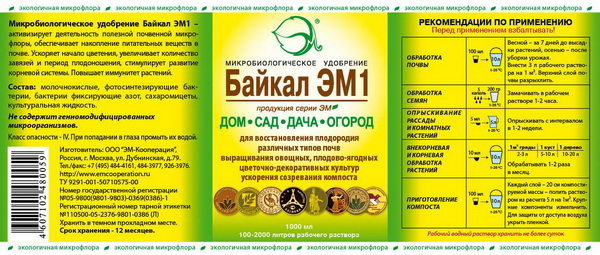 Битие мое