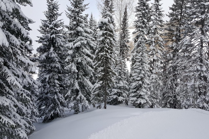 Катаемся без проблем - PR