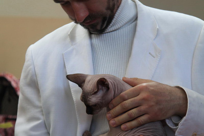 Кошачье время