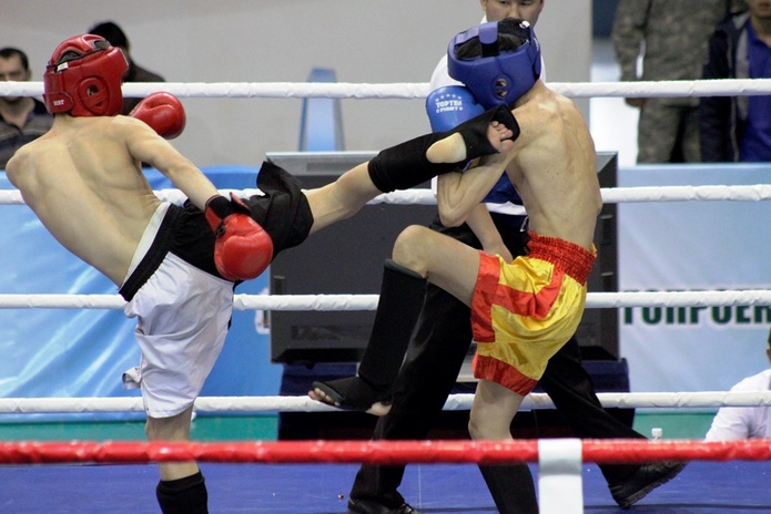 Шегеновские чемпионы