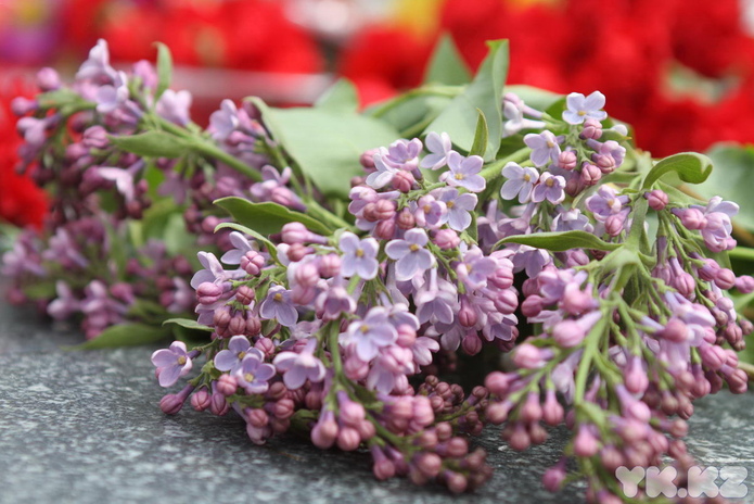 Цветы к огню (+фото)