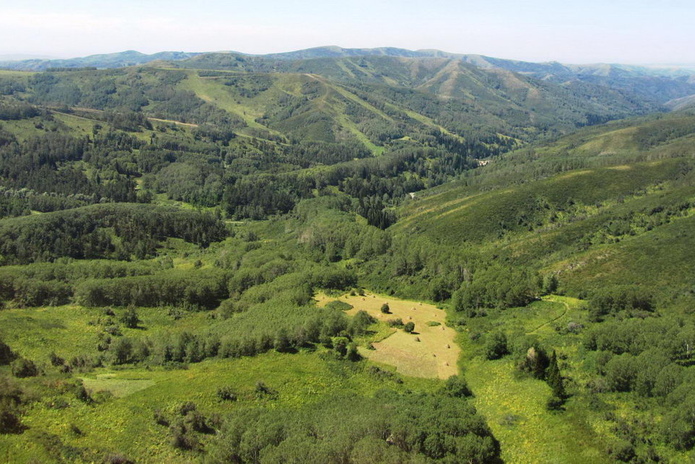 Работает и летом - PR