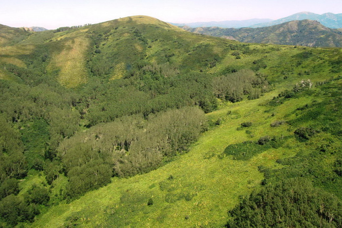 Работает и летом - PR