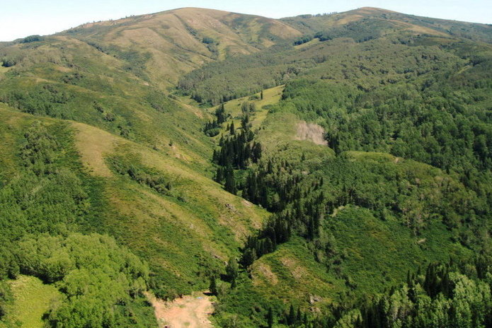 Работает и летом - PR