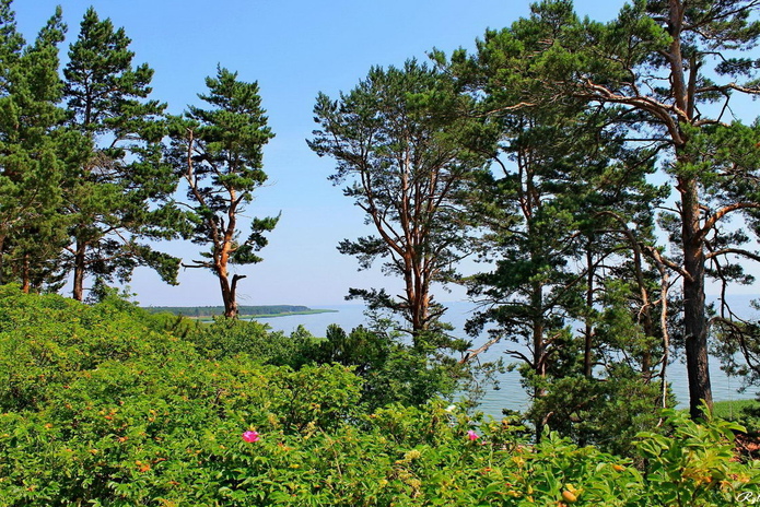 Отдыхай в Аюде за полцены! - PR