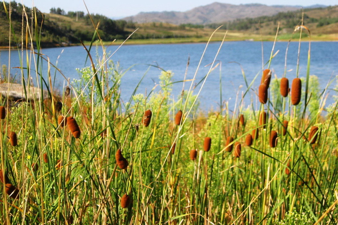 Отдыхай в Аюде за полцены! - PR