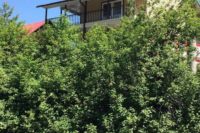 Приятный отдых от ТНП - PR