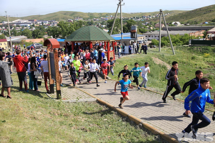 На самый верх (+фото)